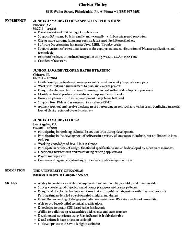 Entry Level Java Developer Resume