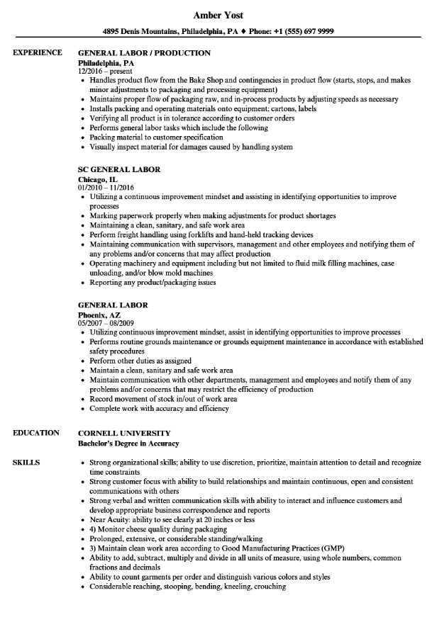 General Labor Resume No Experience