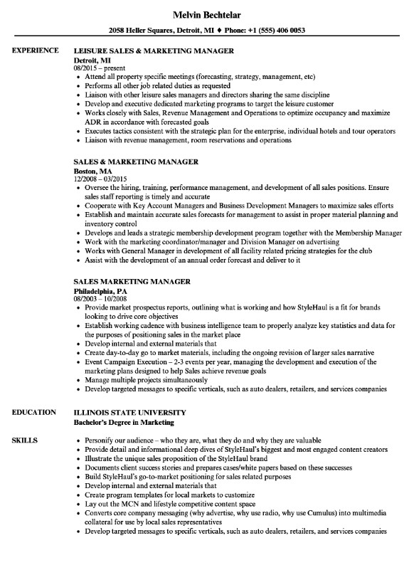 Sales And Marketing Resume Examples | Professional Resume Writing